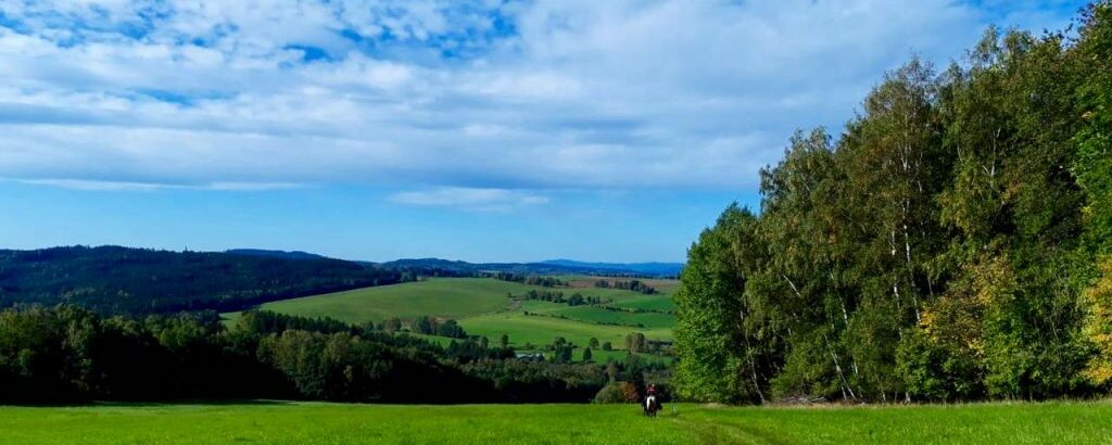 els-kwatawa-ranch_wanderreiten_wanderritt_trailride_bohemian_wild_south_track_20190926_065-1024x410