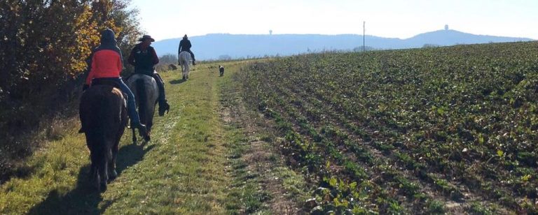 www.els-kwatawa-ranch.at/wp-content/uploads/2019/11/els-kwatawa-ranch_thayatal_westernreiten_wanderreiten_weinviertelritt_1024x410